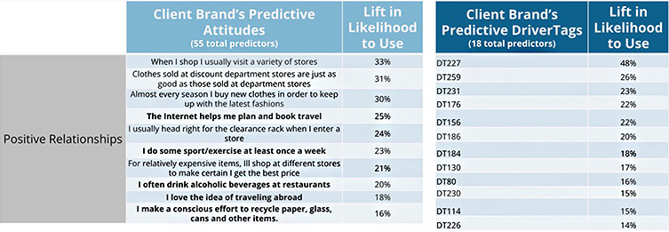 client brand predictive attitudes and drivertags