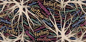 belief-response-action-emotion